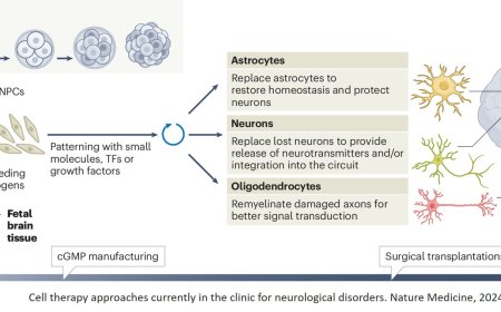 Cell therapy for neurological disorders