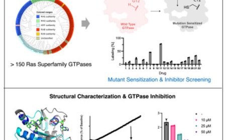 Targeting GTPase family of proteins!