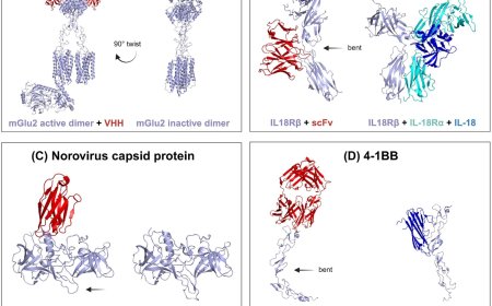 Allosteric antibodies in drug discovery