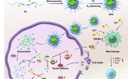 New anti-cancer agent works without oxygen