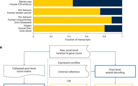 AI analysis of submicron-resolution spatial transcriptomics