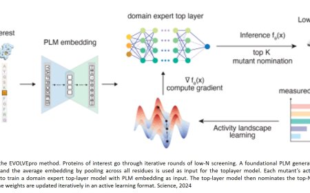 AI-guided protein engineering