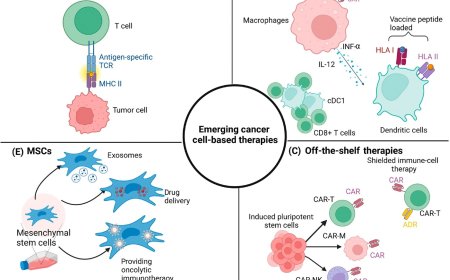 Cell therapy for hematological and solid tumors