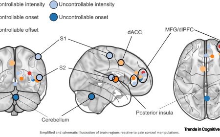 How control modulates pain