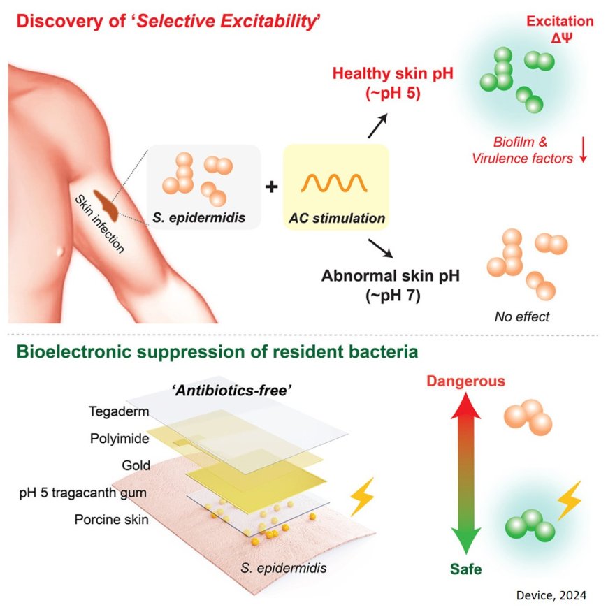 A skin patch using imperceptible electric currents can stop bacterial infections without drugs.