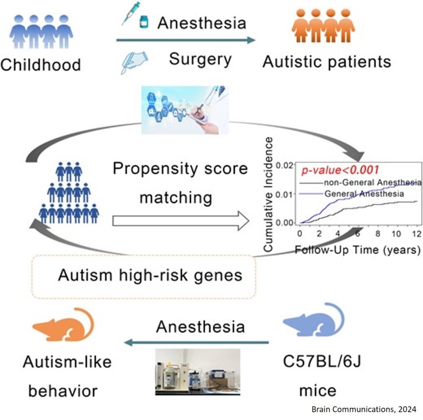 Childhood anaesthesia and autism risk