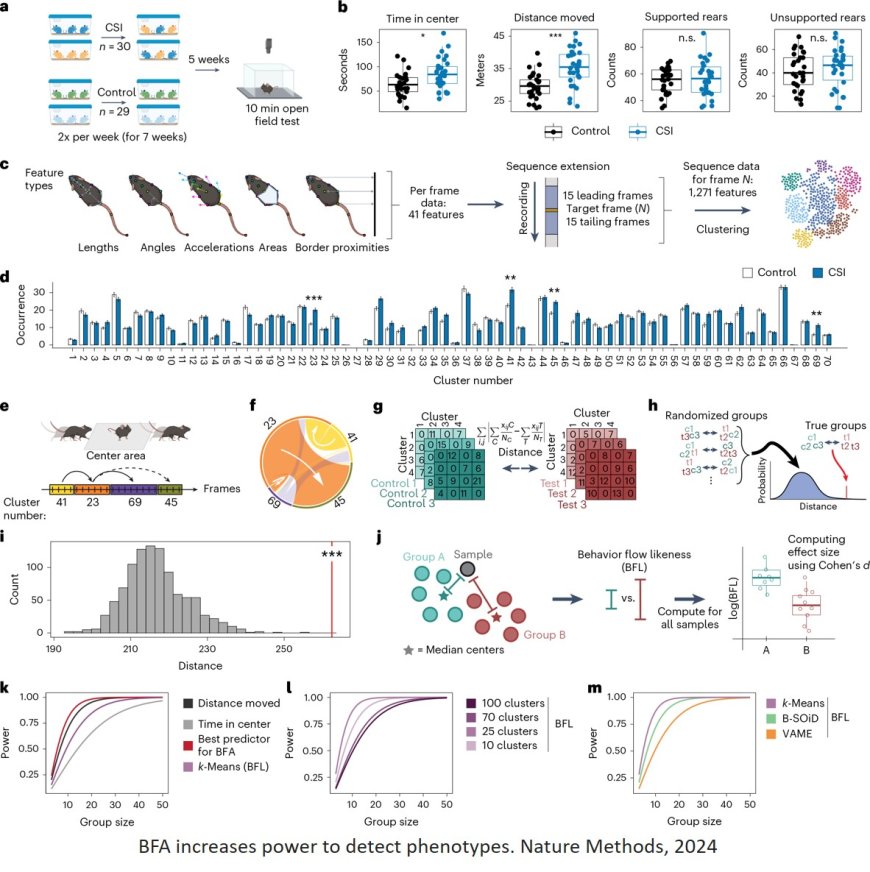 Analysis of behavioral flow resolves latent phenotypes