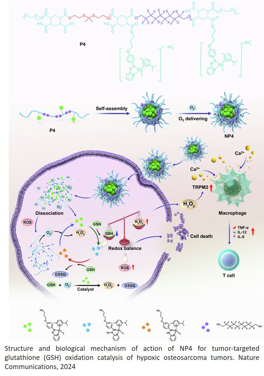 New anti-cancer agent works without oxygen