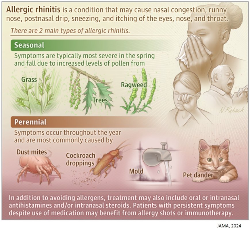 What Is Allergic Rhinitis?