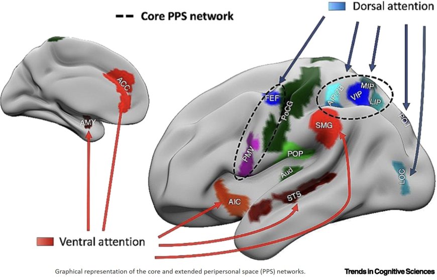 Spatial communication systems and action