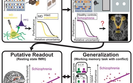 Reason for conflict related executive dysfunction in schizophrenia