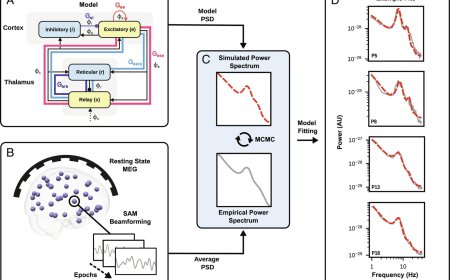 Role of thalamus in chronic-stroke