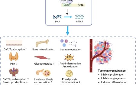 Vitamin D and major chronic diseases