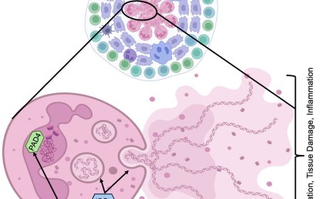 Blocking Mycobacterium tuberculosis replication