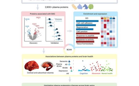 Plasma biomarkers for brain aging!