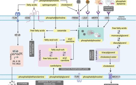 Lipids in Microglial Biology