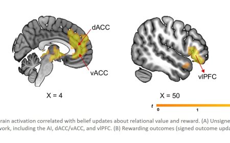 What social rejection teaches your brain