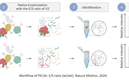 Proteomics to identify ligand-binding proteins and their binding sites in complex system