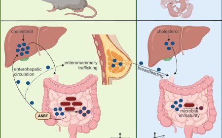 Newborn vulnerability to norovirus diarrhea