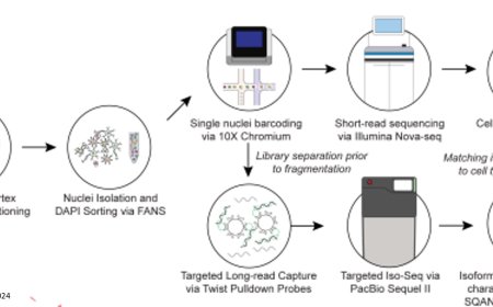 RNA isoform diversity in human neurodegenerative diseases