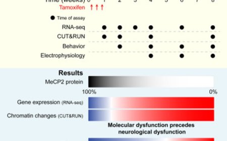 Histone modifications and dysregulation of transcriptome prior to clinical symptoms in Rett syndrome