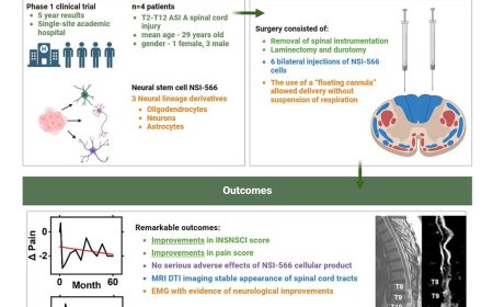 Neural stem cell transplantation shows promise for treating chronic spinal cord injury