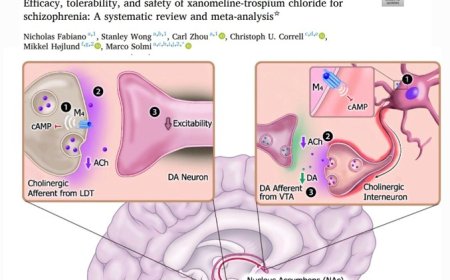 Xanomeline-trospium chloride efficacy and safety studies in schizophrenia