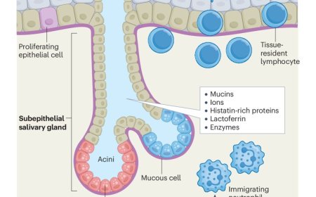 Oral cavity viral infection and antiviral immunity