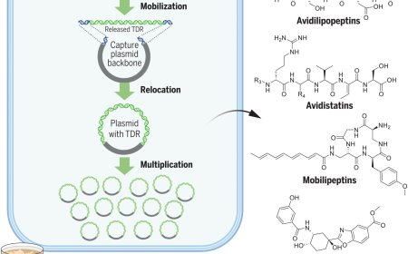 Natural products discovery from bacteria