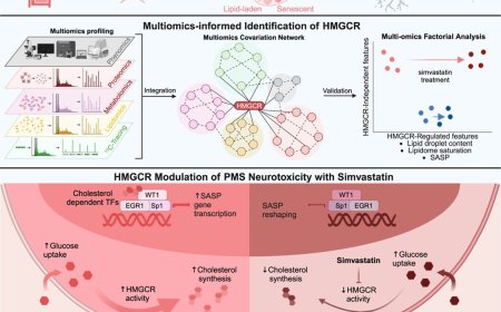 Increased cholesterol synthesis drives neurotoxicity in multiple sclerosis