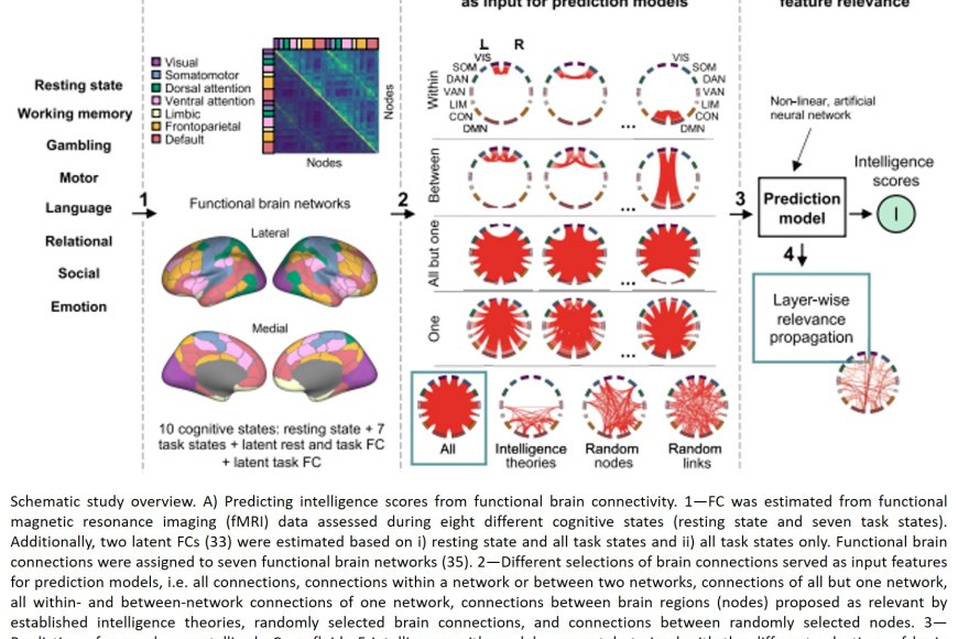 Choosing Explanation Over Performance Insights From Machine Learning