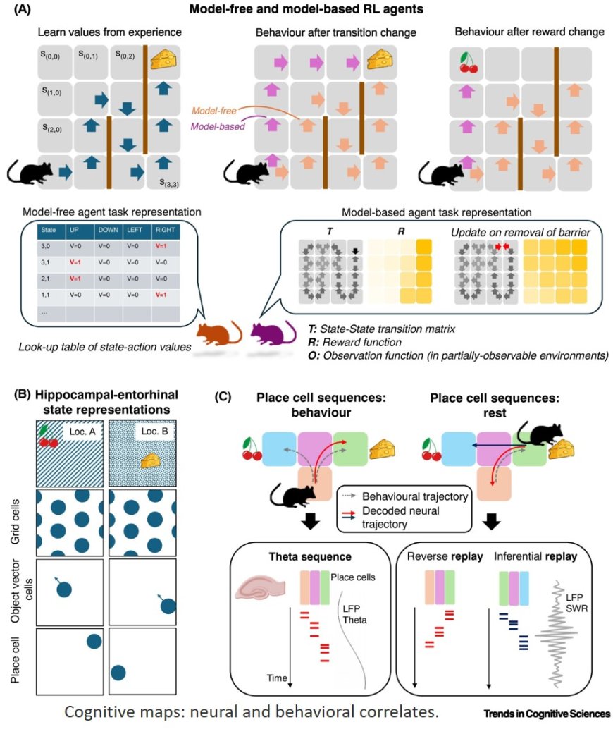 Cognitive maps and schizophrenia