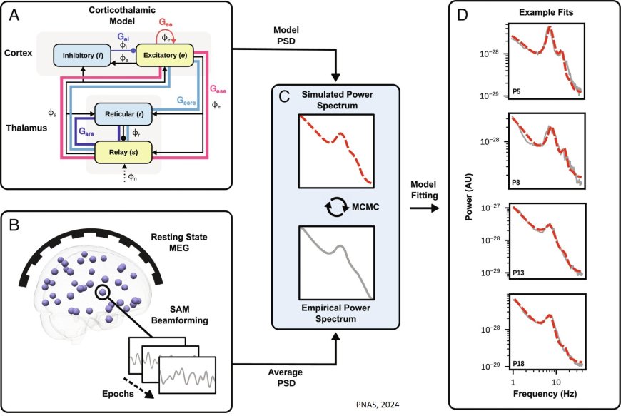 Role of thalamus in chronic-stroke