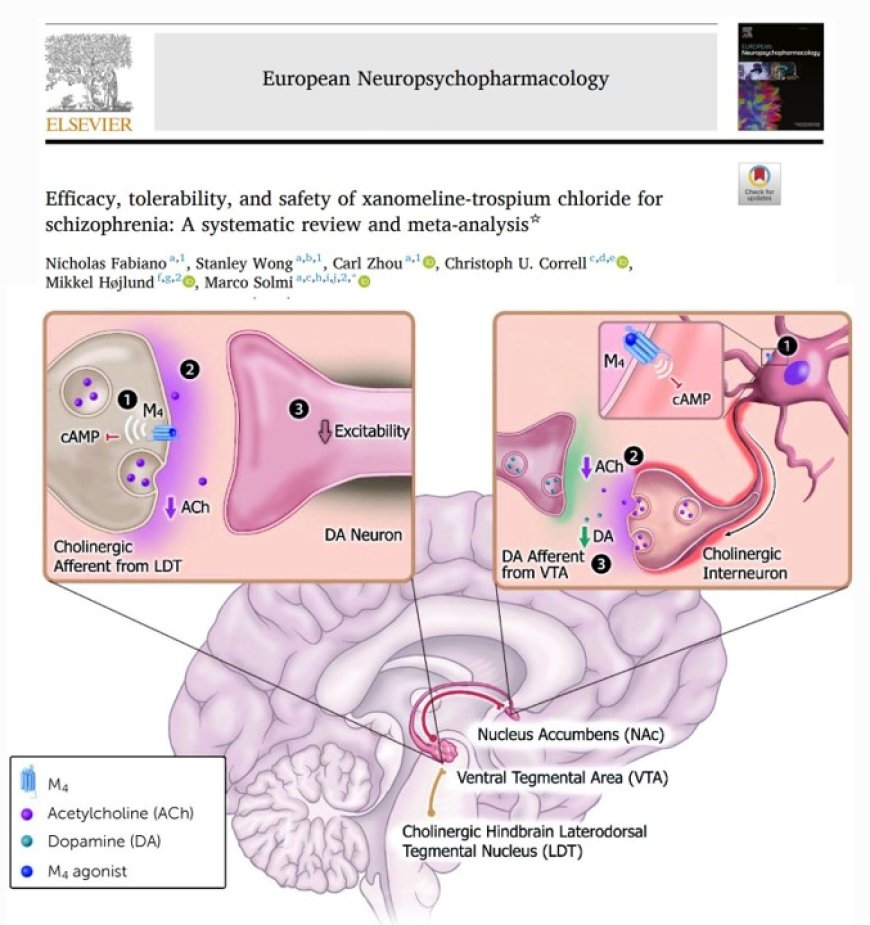 Efficacy, tolerability, and safety of xanomeline-trospium chloride for schizophrenia: A systematic review and meta-analysis☆