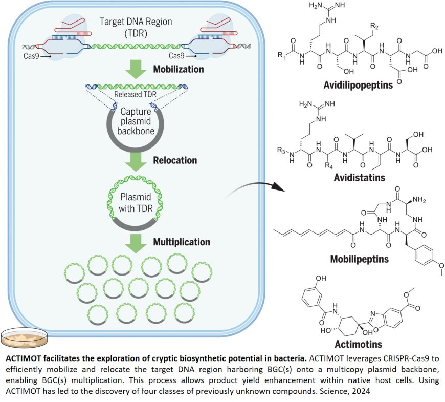 Natural products discovery from bacteria