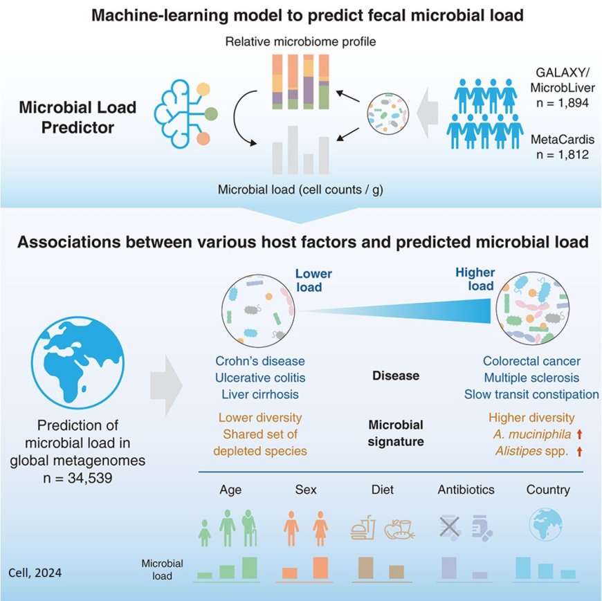 A new machine-learning model to predict microbial load