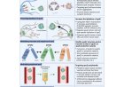 APOE in Alzheimer’s