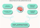 Neuroinflammation in Alzheimer’s disease