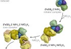 Protein protects biological nitrogen fixation from oxidative stress