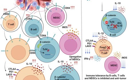 Breaking immune tolerance in triple-negative breast cancer