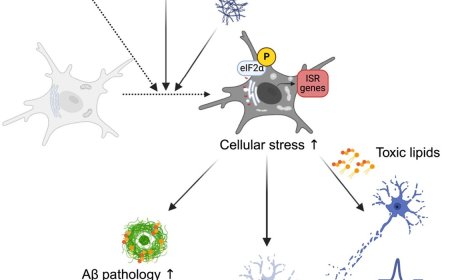 Mechanism of cellular stress mediated neurodegeneration