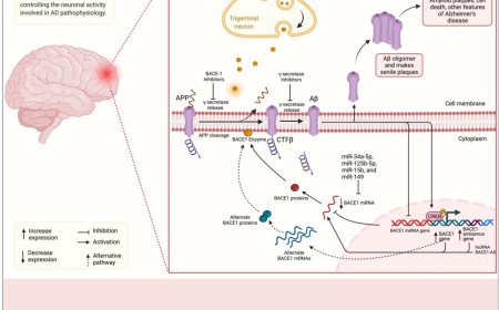 Beta secretase