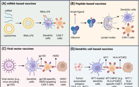 Boosting CAR-T cell therapy through vaccine synergy