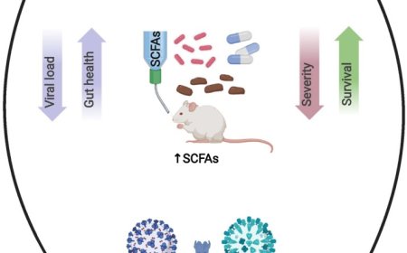The gut–lung axis in respiratory health