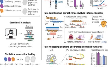 The role of rare germline structural variants in pediatric solid tumors