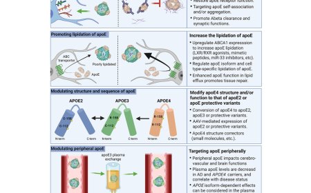 APOE in Alzheimer’s