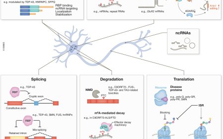 RNA dysregulation in neurodegenerative diseases