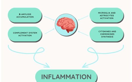 Neuroinflammation in Alzheimer’s disease
