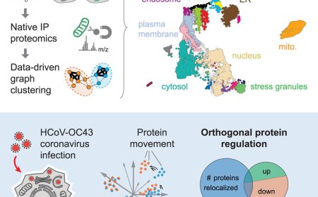 Comprehensive map of protein locations within human cells