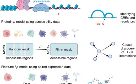New AI method predicts gene expression in any cell